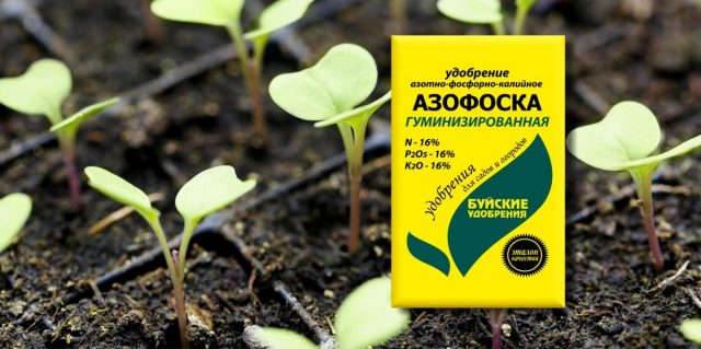 Азофоска - комплексное минеральное удобрение