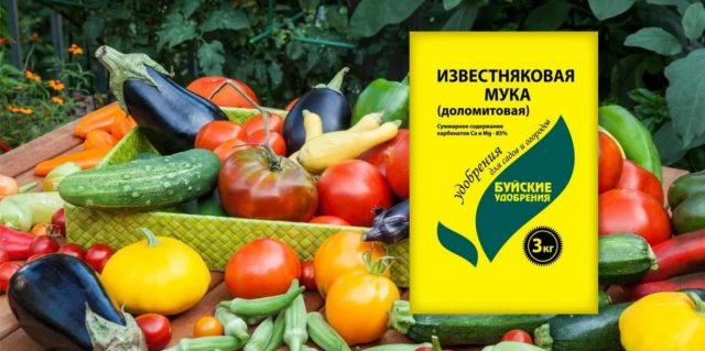 Известняковая мука (доломитовая) Известняковая мука (доломитовая)