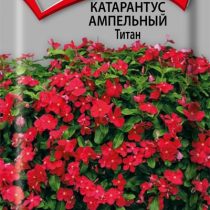 Катарантус ампельный Титан Катарантус ампельный Титан