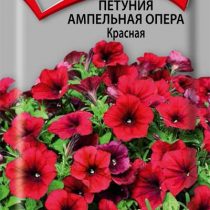 Петуния Ампельная Опера Красная Петуния Ампельная Опера Красная