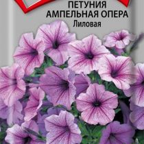Петуния Ампельная Опера Лиловая Петуния Ампельная Опера Лиловая