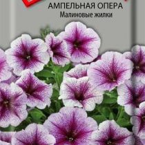 Петуния Ампельная Опера Малиновые жилки Петуния Ампельная Опера Малиновые жилки