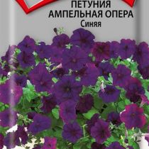 Петуния Ампельная Опера Синяя Петуния Ампельная Опера Синяя