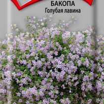 Бакопа Голубая лавина Бакопа Голубая лавина