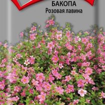 Бакопа Розовая лавина Бакопа Розовая лавина