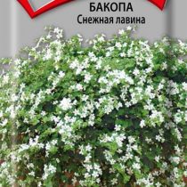 Бакопа Снежная лавина Бакопа Снежная лавина