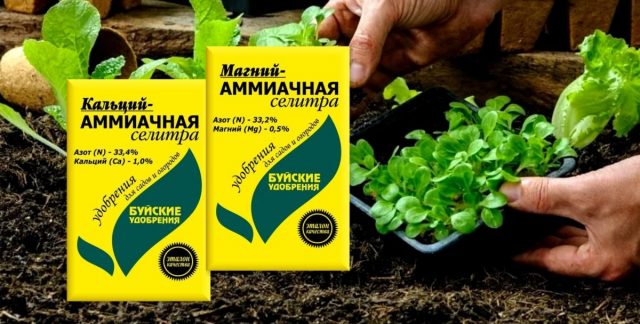 Минеральные удобрения - кальций-аммиачная и магний-аммиачная селитры