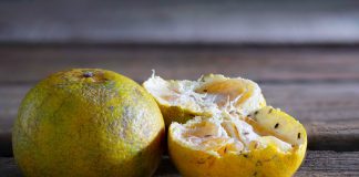 Откуда берутся плодовые мушки и как от них избавиться?