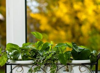 Оригинальные подставки для цветов на подоконник