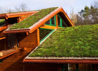 Сад на крыше — правила обустройства и ухода