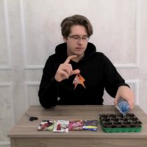Увлажняем торфяные таблетки Увлажняем торфяные таблетки