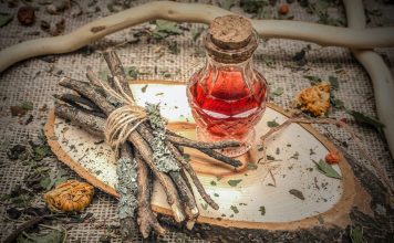 Лекарства зимнего сада — о пользе чая из побегов плодовых Лекарства зимнего сада — о пользе чая из побегов плодовых