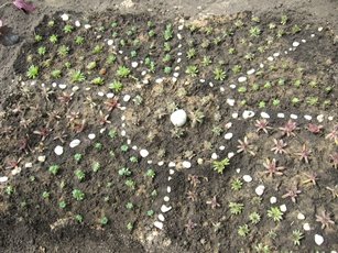 Композиция