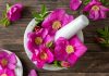 16 растений, цветки которых и красивы, и вкусны