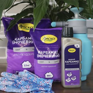 Карбамид (мочевина) Карбамид (мочевина)