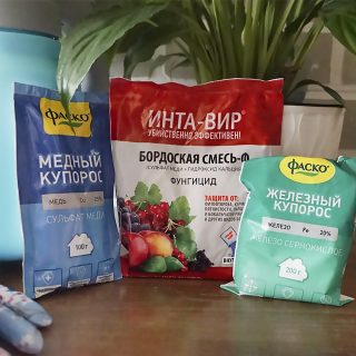 Препараты «Медный купорос» и «Бордоская смесь-Ф» от «Фаско» Препараты «Медный купорос» и «Бордоская смесь-Ф» от «Фаско»