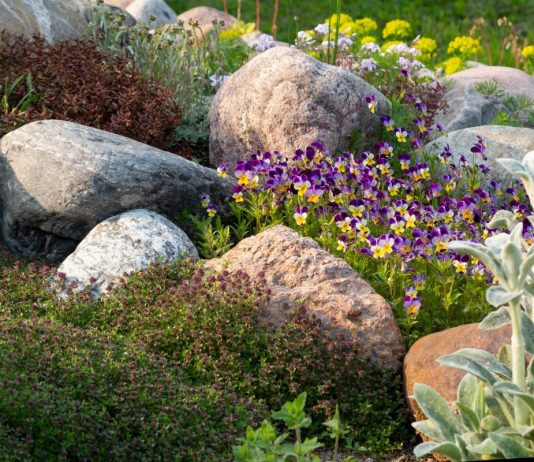 Камни-валуны в саду — идеи и правила оформления участка