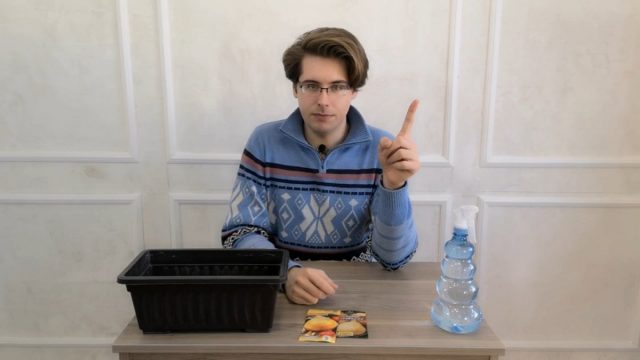 Когда начинать посев? Когда начинать посев?