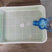 Добавляем воду в проращиватель и ставим сверху корзинку для семян Добавляем воду в проращиватель и ставим сверху корзинку для семян