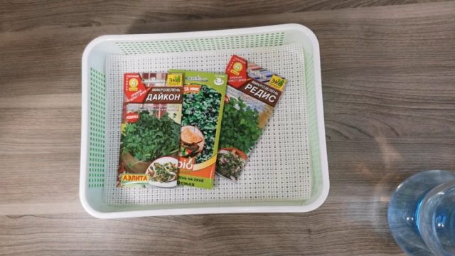 Как выбирать семена на микрозелень? Как выбирать семена на микрозелень?