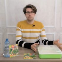 Накрываем крышкой и закрываем для дальнейшего проращивания Накрываем крышкой и закрываем для дальнейшего проращивания