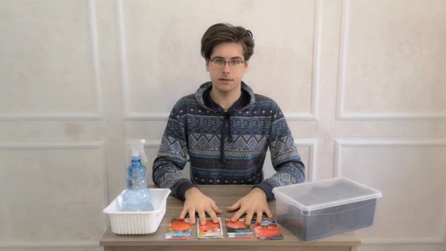 Низкорослые томаты — чем хороши и как их посадить на рассаду Низкорослые томаты — чем хороши и как их посадить на рассаду