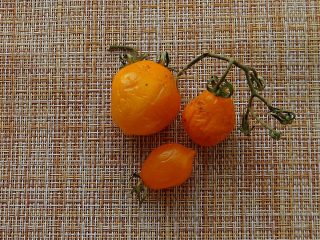 Подсохший томат «Джаджу» вкуснее, чем свежий Подсохший томат «Джаджу» вкуснее, чем свежий