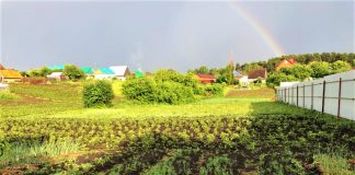 Порядок в голове – порядок на гряд