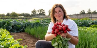Длина дня — влияние на развитие овощей