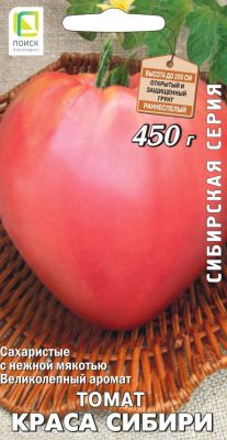 Сорт томата «Краса Сибири» Сорт томата «Краса Сибири»