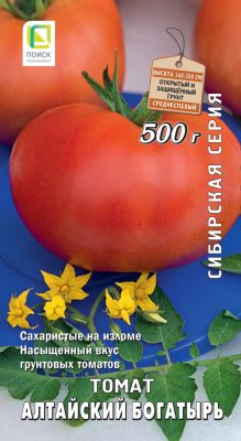 Сахаристый томат сорта «Алтайский богатырь» Сахаристый томат сорта «Алтайский богатырь»