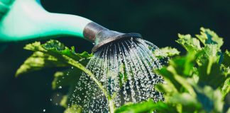 Волшебная лейка — простое решение для садоводов