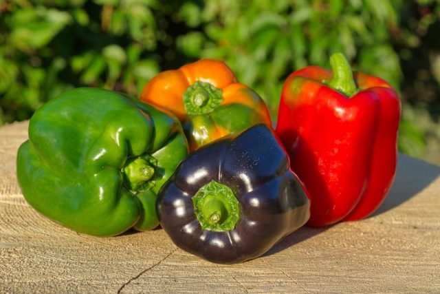 Плоды у перца могут иметь красный, кремовый, жёлтый, оранжевый и шоколадный или фиолетовый цвета