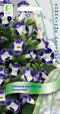 Торения «Мармелад Черничный» Торения «Мармелад Черничный»