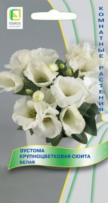 Эустома крупноцветковая «Сюита Лиловая» Эустома крупноцветковая «Сюита Белая»