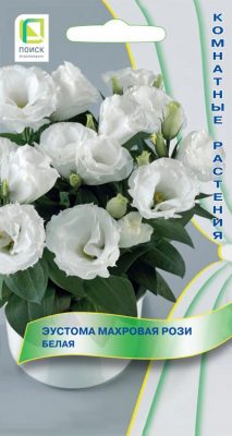 Эустома махровая «Рози Белая» Эустома махровая «Рози Белая»