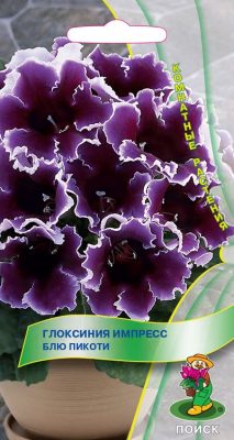 Глоксиния «Импресс Блю Пикоти» Глоксиния «Импресс Блю Пикоти»