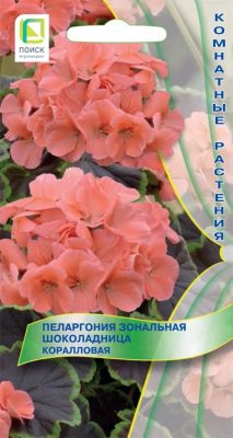 Пеларгония зональная «Шоколадница Коралловая» Пеларгония зональная «Шоколадница Коралловая»