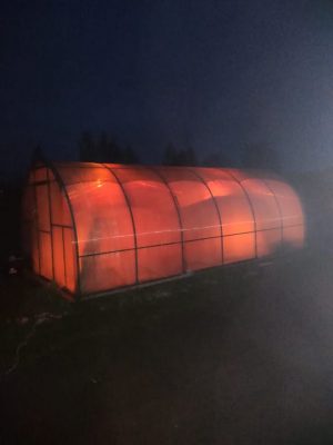 Борьба с заморозками в теплице Борьба с заморозками в теплице