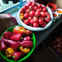 Наш урожай Наш урожай