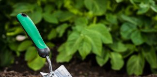 Мелиоранты — важные помощники в саду и огороде - Буйские удобрения Мелиоранты — важные помощники в саду и огороде