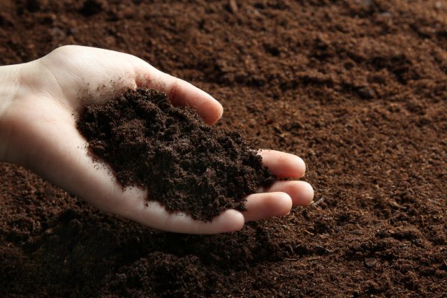 Определение типа почвы на участке поможет в улучшении ухода