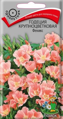Семена растения Годеция крупноцветковая «Феникс» Семена растения Годеция крупноцветковая «Феникс»