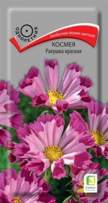 Семена растения космея «Ракушка красная» Семена растения космея «Ракушка красная»