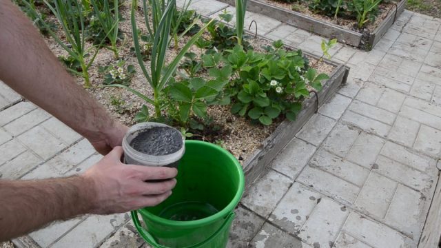 Эко-подкормка зольным настоем Эко-подкормка зольным настоем