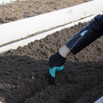 Пройдитесь граблями по всему периметру грядки и сделайте борозды Пройдитесь граблями по всему периметру грядки и сделайте борозды