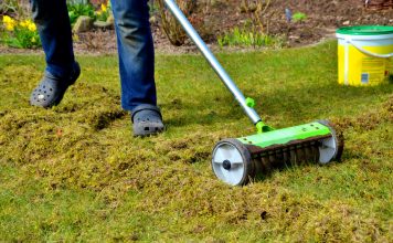 Весенний уход за газоном