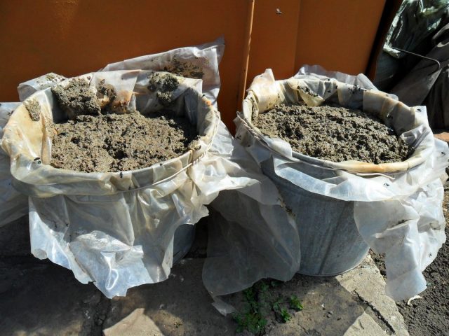 Куриный помет — самое надежное органическое удобрение с точки зрения результата и предсказуемости влияния Куриный помет — самое надежное органическое удобрение с точки зрения результата и предсказуемости влияния