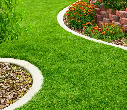 Изумрудный газон с весны до осени