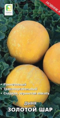 Сорт дыни «Золотой шар» Сорт дыни «Золотой шар»